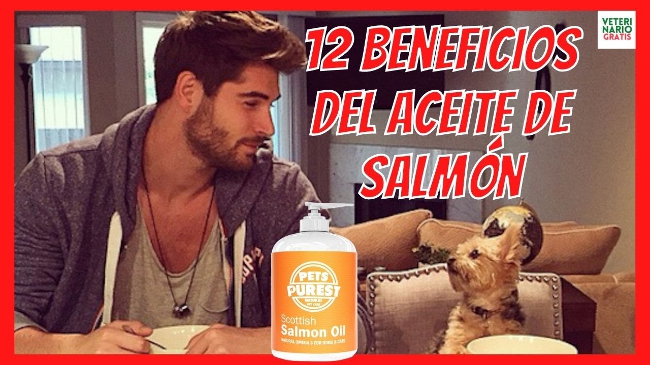 🎁 12 BENEFICIOS DEL ACEITE DE SALMON PARA LOS PERROS 🎁 con ARTROSIS, DERMATITIS...