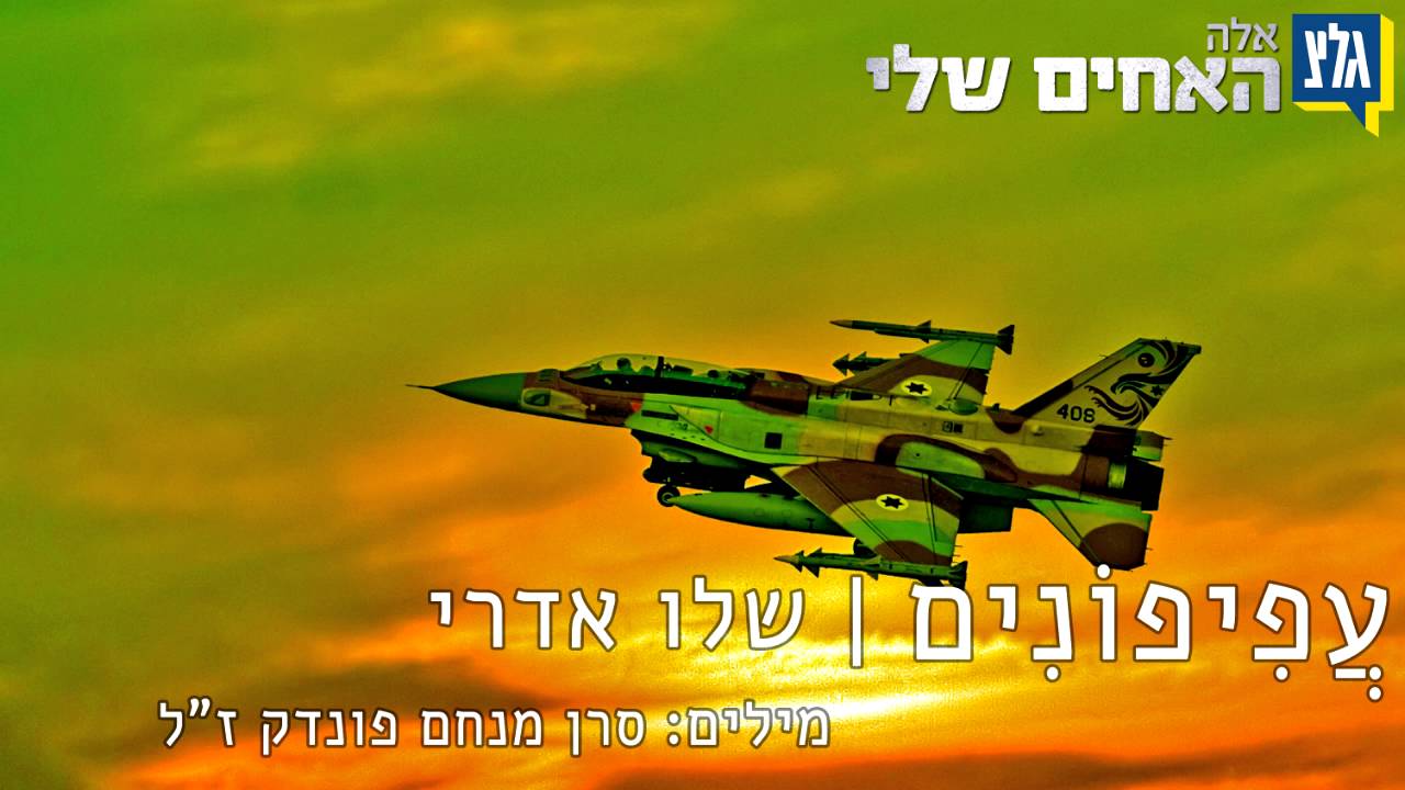 עפיפונים - רב