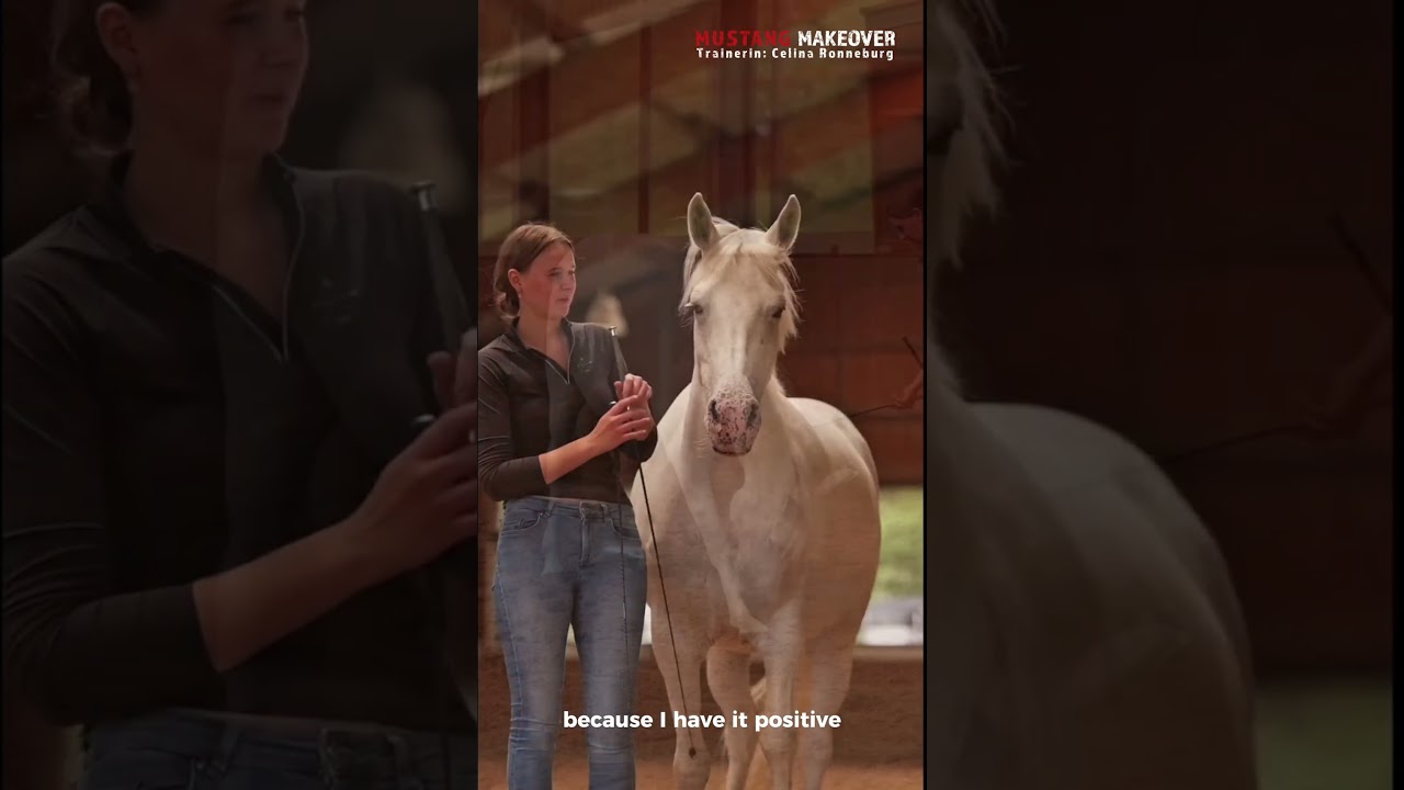 Der erste Mustang | Celina Ronneburg - Trainer Challenge 2025