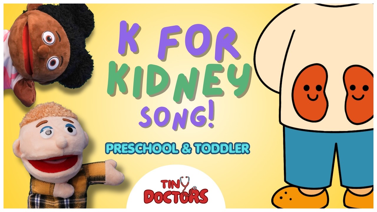 Tiny Doctors - The Kidney Song - Nursery Rhyme - Children's Education Medical Show