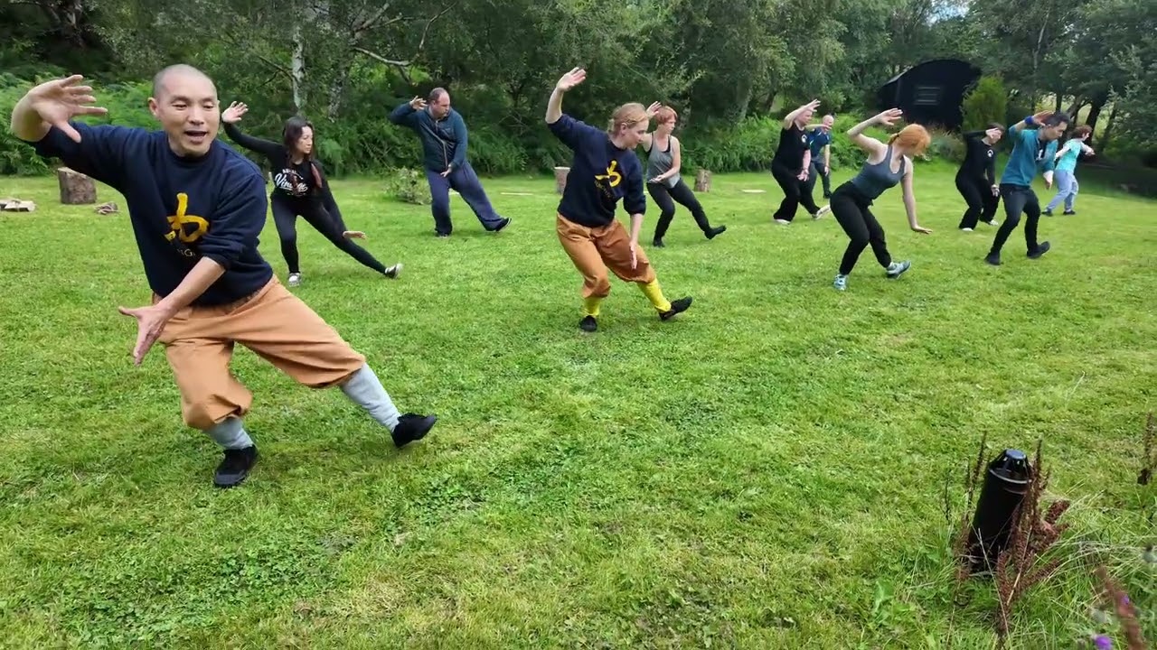 Shaolin Rou Quan/Soft Fist in KungFu.Life Summer Retreat 2025 #kungfulife  #qigong #shaolinkungfu