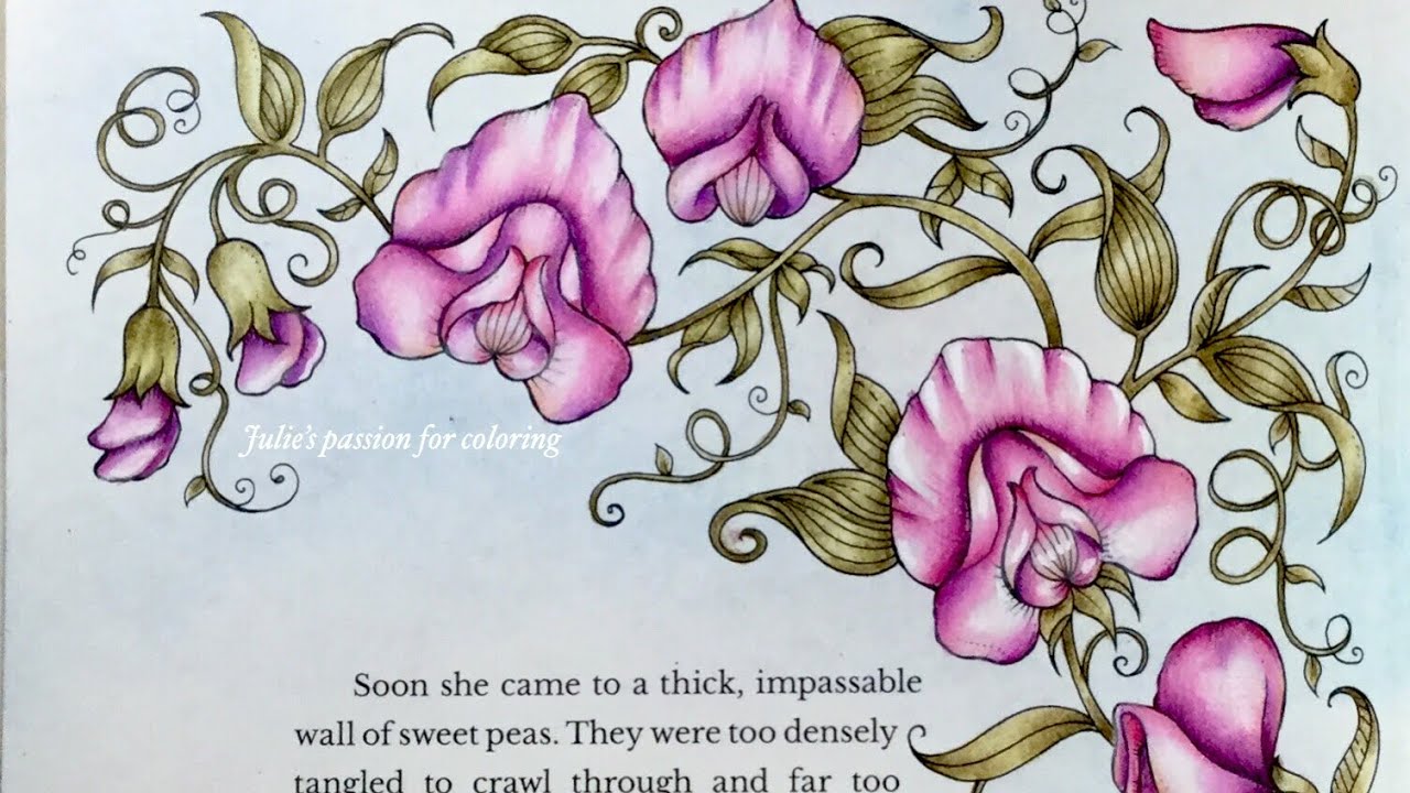 IVY AND THE INKY BUTTERFLY by Johanna Basford - prismacolor pencils - color along