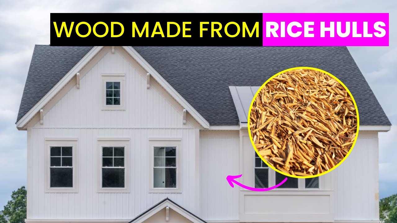 Sustainable and Tree-Free Wood Alternative | Future Technology & Science News 289