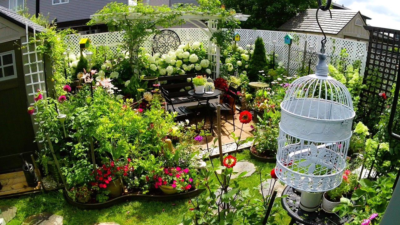 Beautiful Tiny garden in Zone 5A | Plants and flowers garden tour #garden #gardening #flowers #new