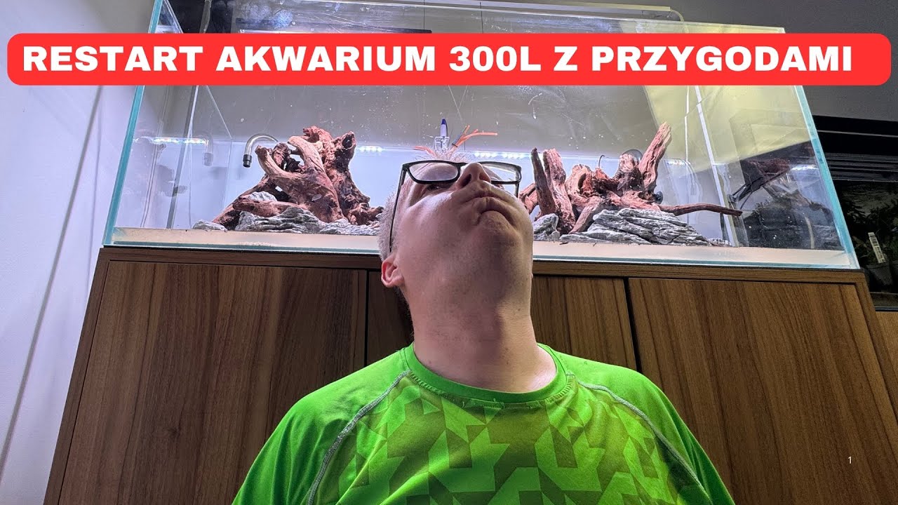 Restart akwarium 300L  z przygodami