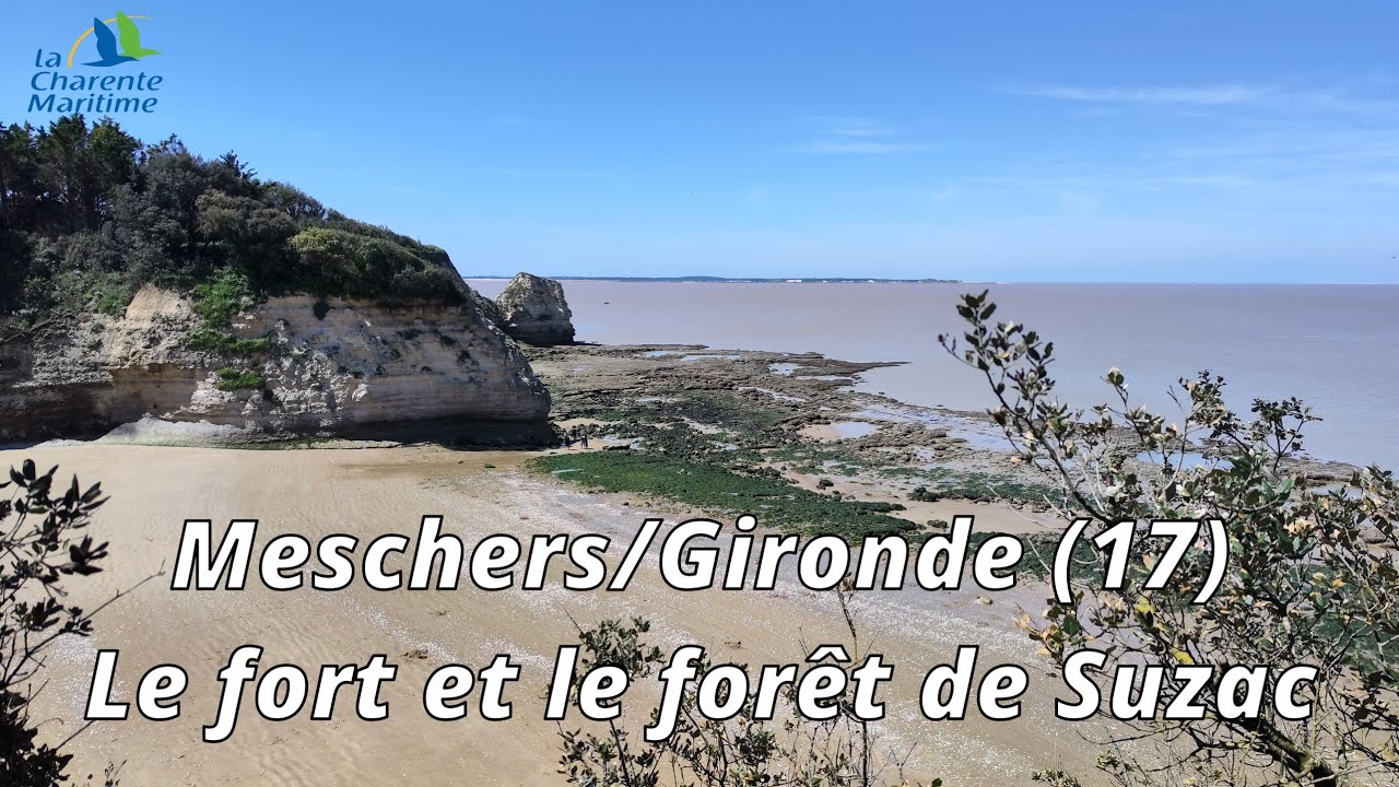 Meschers/Gironde (17) Le fort et la foret de Suzac