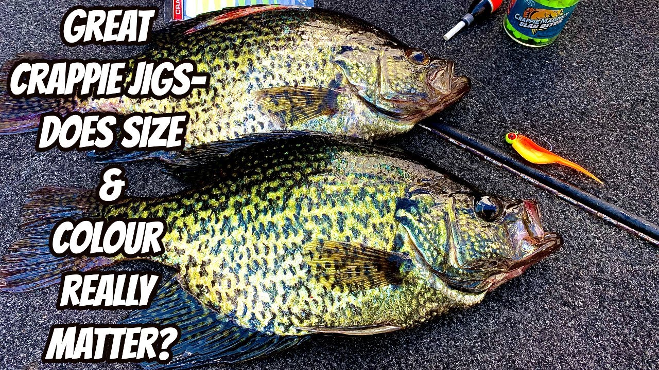 GREAT CRAPPIE JIGS - DOES SIZE & COLOUR REALLY MATTER?