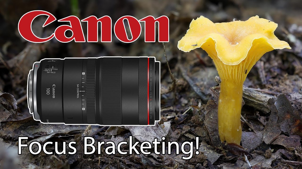 Грибы фокусировки и многое другое • Canon EOS R6 Mark II и макрообъектив RF 100 мм!