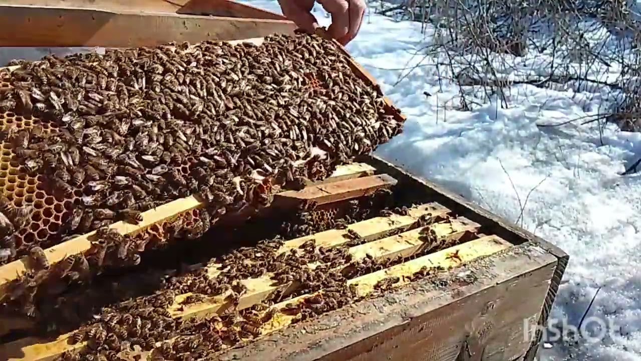 Весняна ревізія 2026