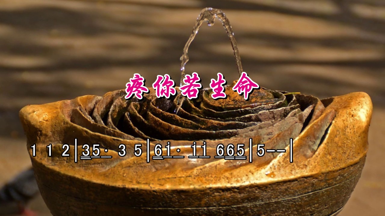 簡譜字幕KTV---疼你若生命_Bb