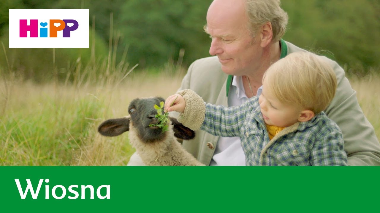 Wiosna w gospodarstwie ekologicznym HiPP na Warmii