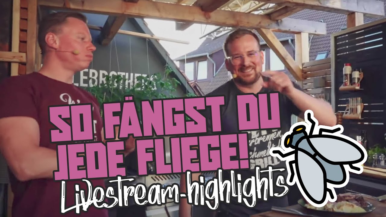 WTF!?😅 Fliegen fangen LIVE im Stream 😂😂 - Highlights Synchrongrillen