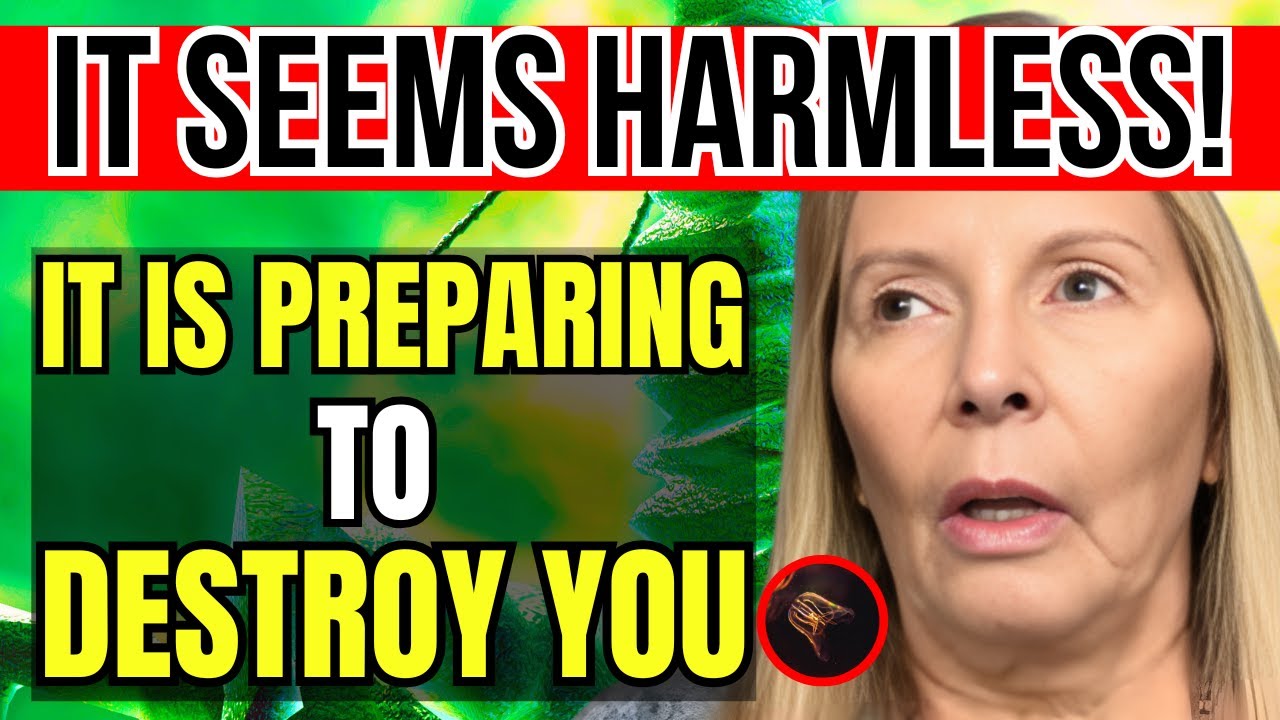 Divine Revelation Today &ndash; The Virgin Warns Luz de Mar&iacute;a: Soon EVERYONE Will Suffer