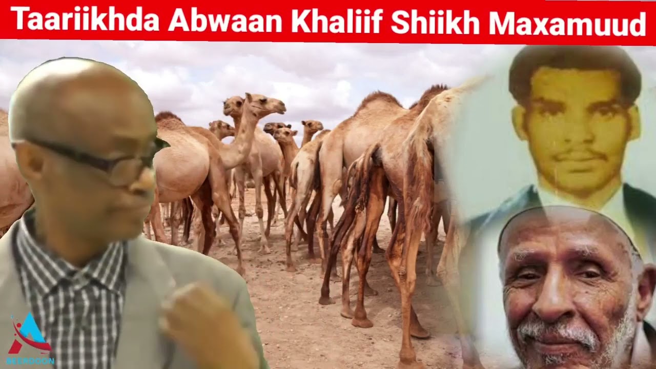 Gaariye oo Taageeray Khaliif Sh. Maxamed.