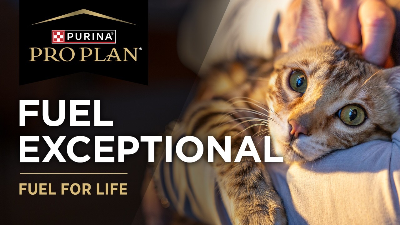 Purina Pro Plan Fuel For Life - Cat
