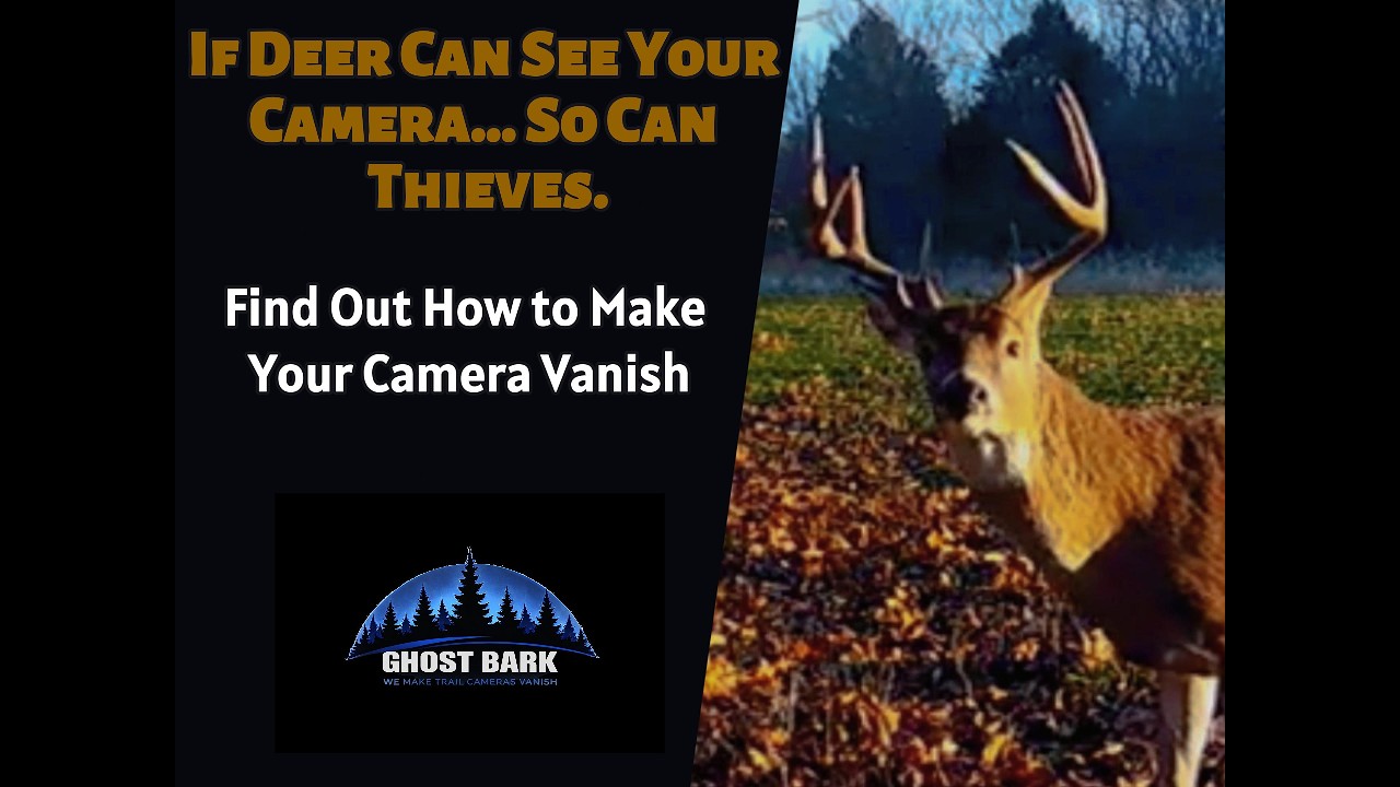 Hide Your Trail Camera So Deer and Thieves Walk Right Past — If They Can See It, It’s Lost