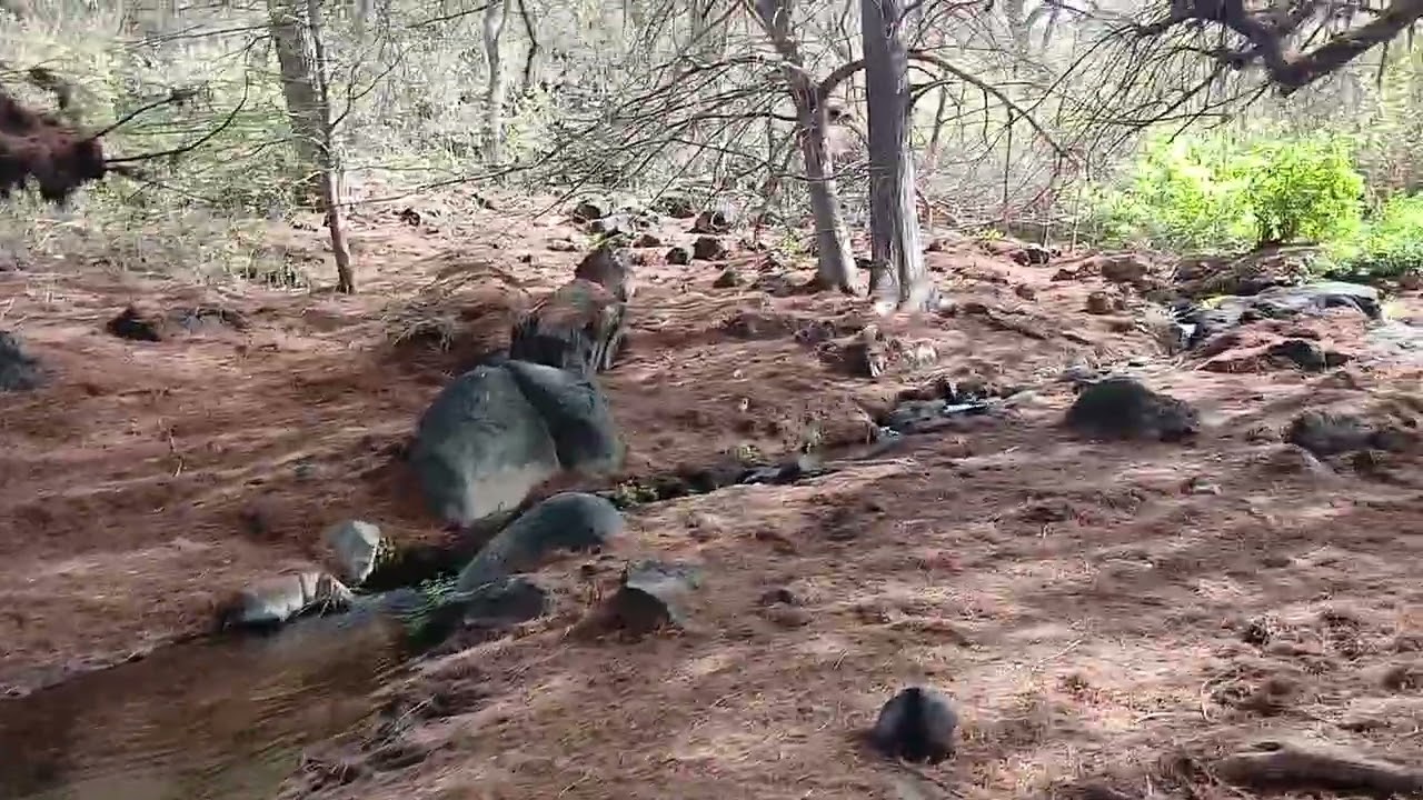 Paraje la Barranca en El rio Nombre de Dios Durango México 