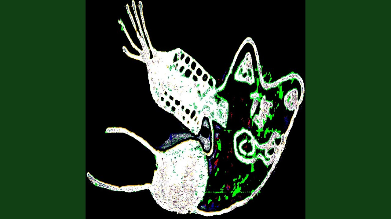 一個可愛的家庭