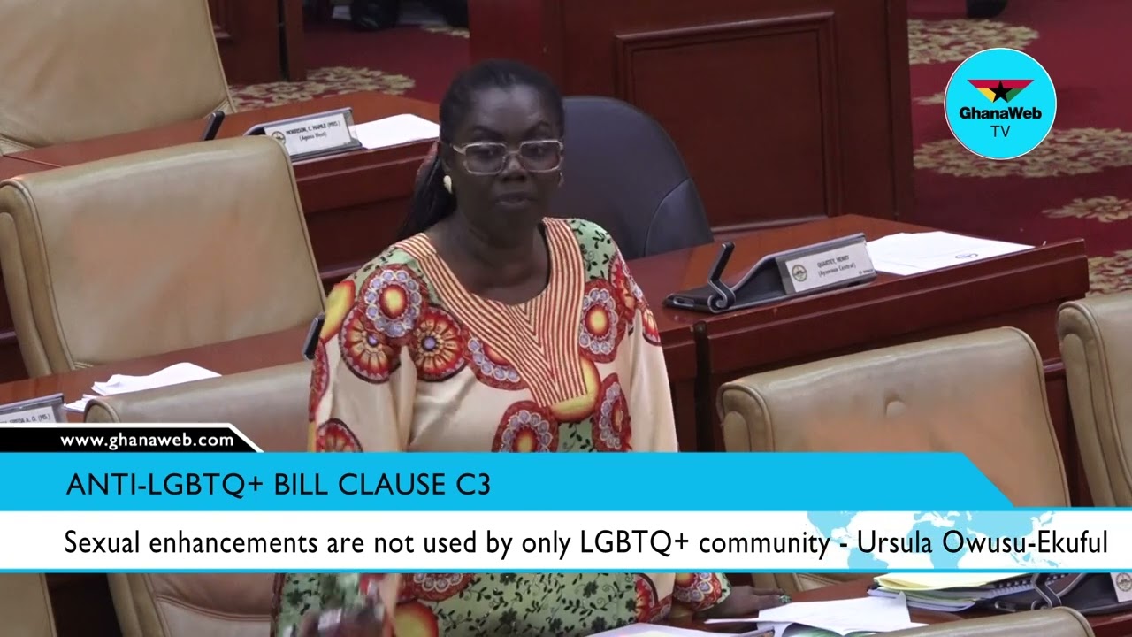 Ursula Owusu Ekuful draws attention to Clause C3 of Anti LGBTQ+ Bill