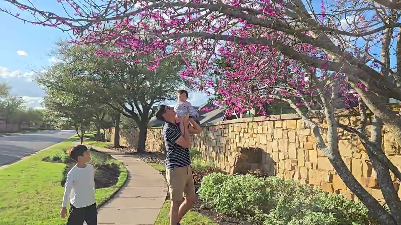소윤이와 동네 봄꽃 구경 🌸😊💓 286일 031126