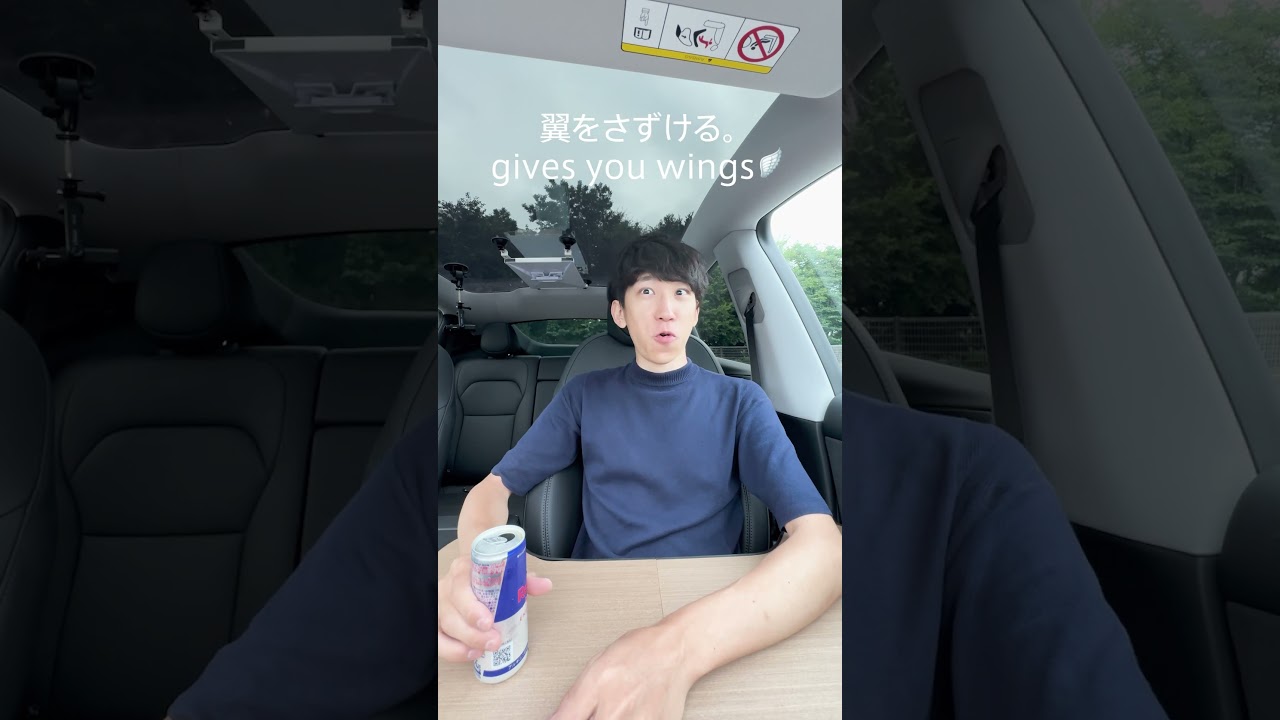 テスラが移動式オフィスすぎた #tesla #テスラ #modely #ev #テレワーク #モデルy #TeslaVisionコンテスト