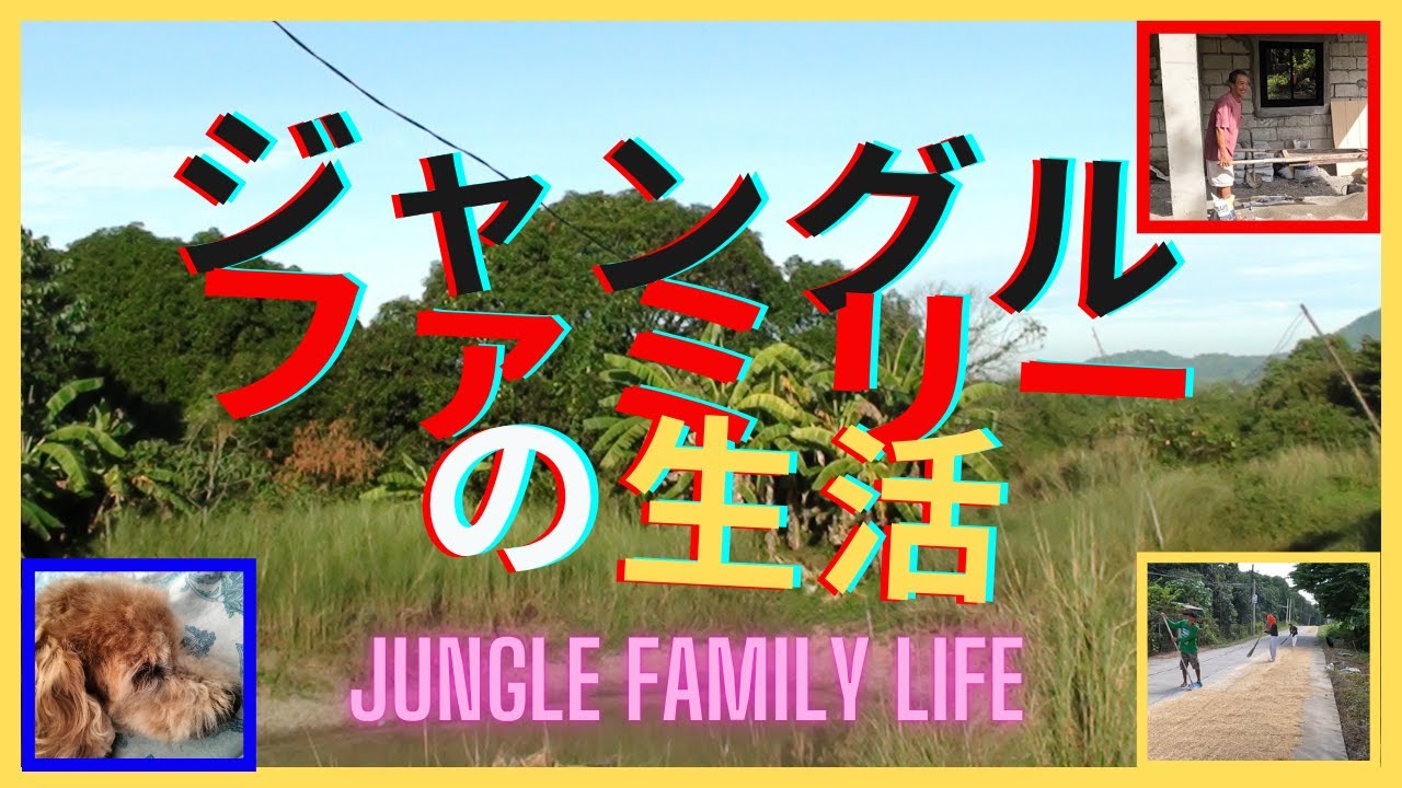 ジャングルファミリーの生活　Jungle Family life