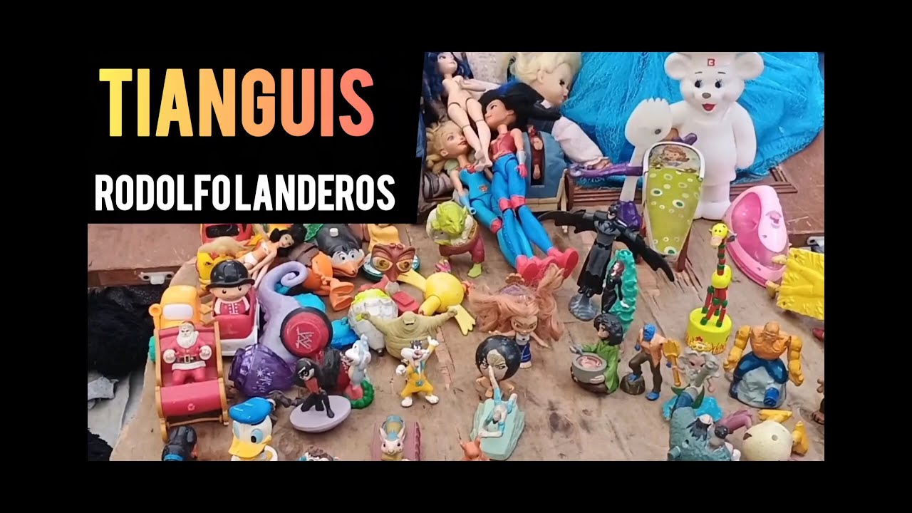 Tianguis aguascalientes rodolfo landeros