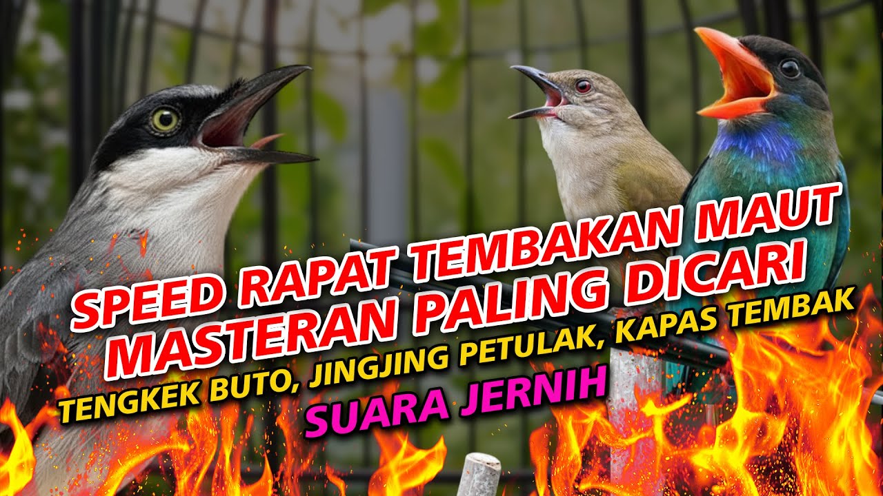 MASTERAN PALING DICARI SPEED RAPAT TEMBAKAN MAUT JINGJING PETULAK TENGKEK BUTO KAPAS TEMBAK