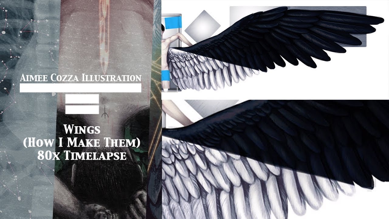 Wings 80x Digital Illustration Timelapse