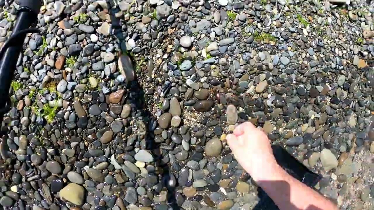 Нокта Макро Крузер Голд  в солёной воде Черного моря