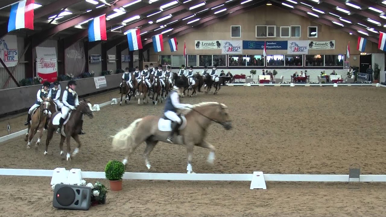 NK 2013 Carrousel Zilfia's hoeve Schoteroog Haarlem