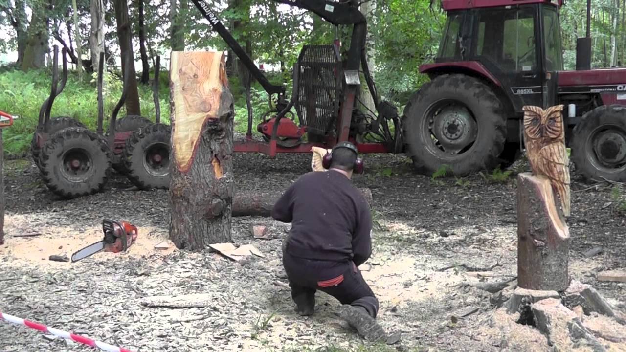 Chainsaw carving of an owl