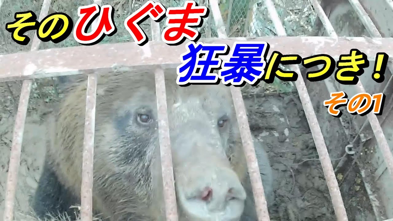そのひぐま狂暴につき　その1