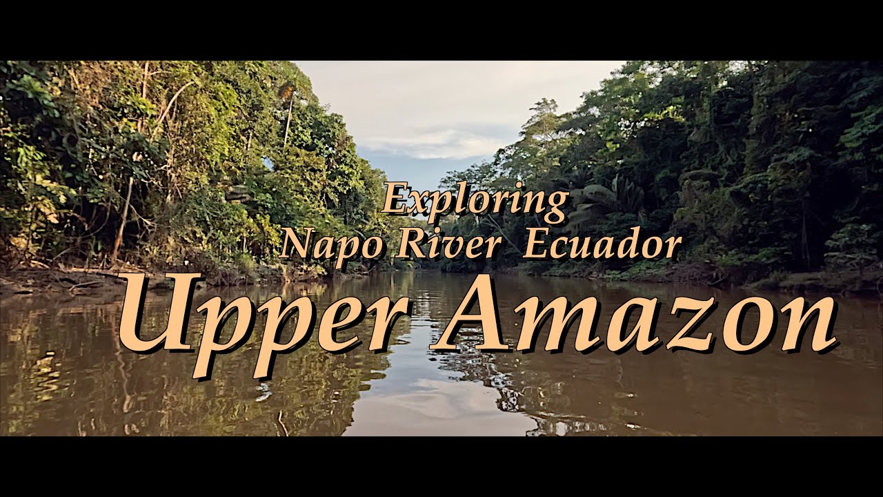 Exploring  Ecuador's Upper Amazon, the Napo River