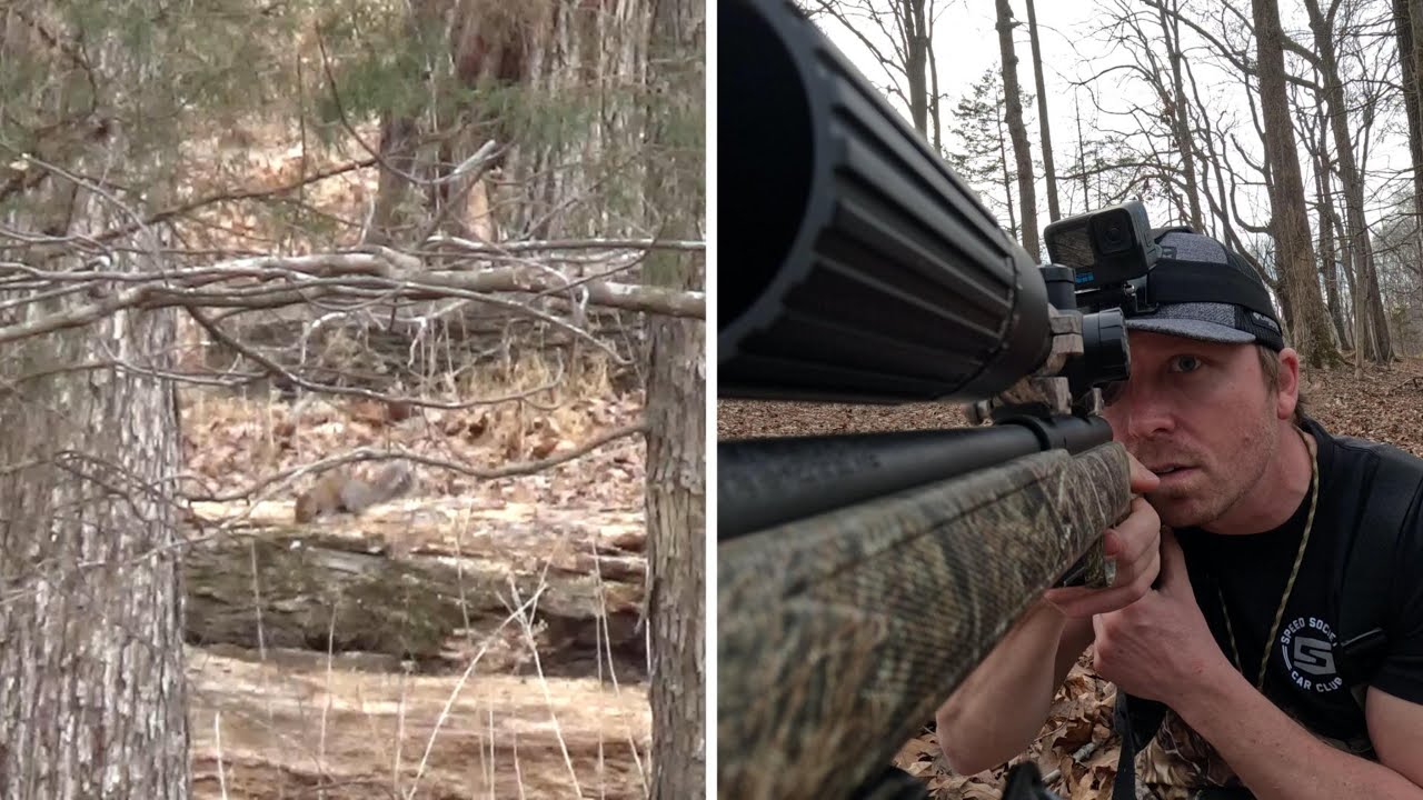 Long Range Squirrel Hunt with Savage .17hmr! NEW SCOPE ACQUIRED!