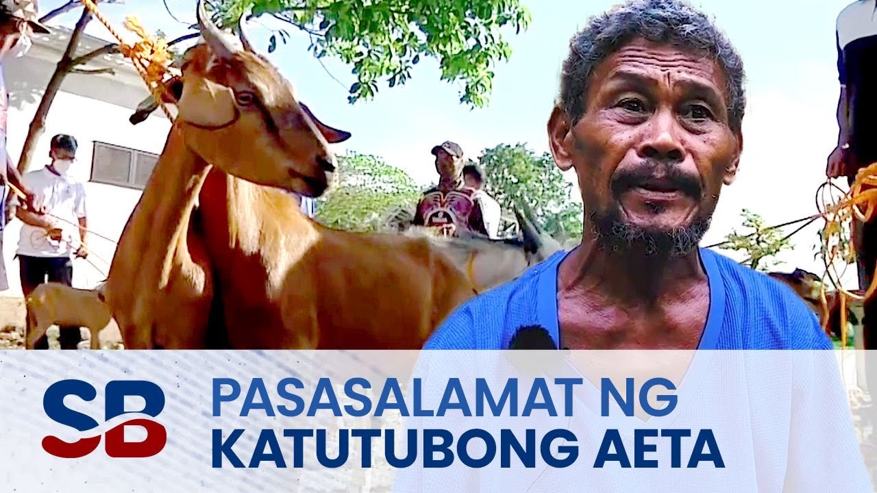 Hiling na kambing ng mga Aeta sa Capas, Tarlac, natupad na