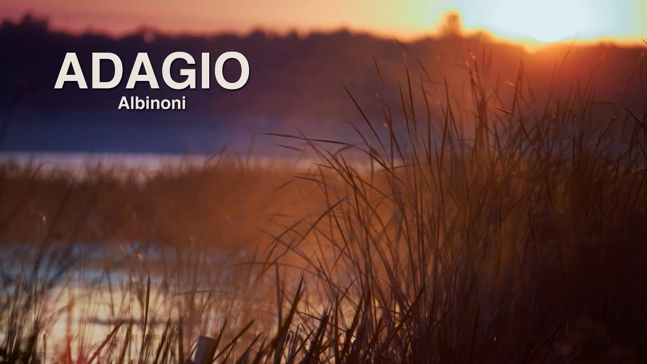 ADAGIO g-moll 🎻ALBINONI 🎻 ASMF 🎻 NATURE & CLASSICS - Best of Klassik die man hören muss
