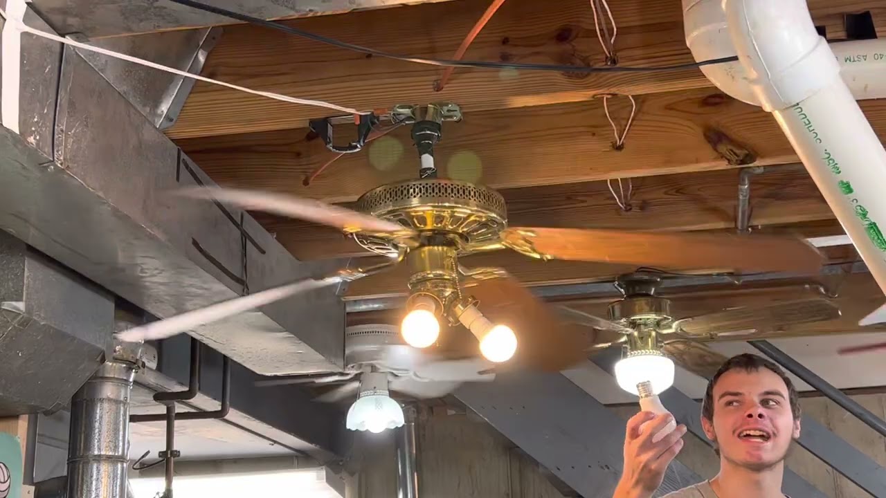 Smashing a ceiling fan