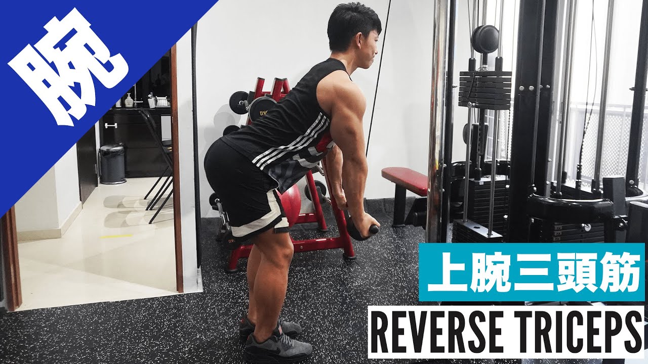 【上腕三頭筋(長頭)の鍛え方】リバーストライセプスで腕を太くする！