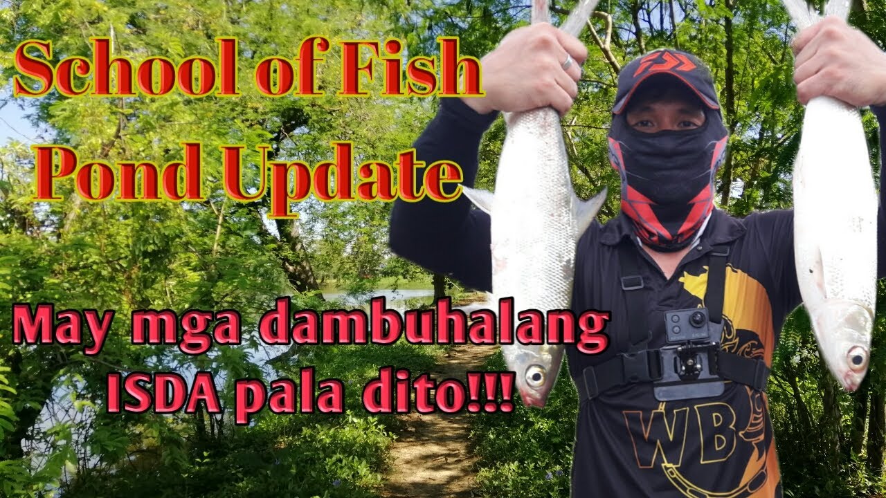 School of Fish Pond | Fishing spot # 7 | Bulacan