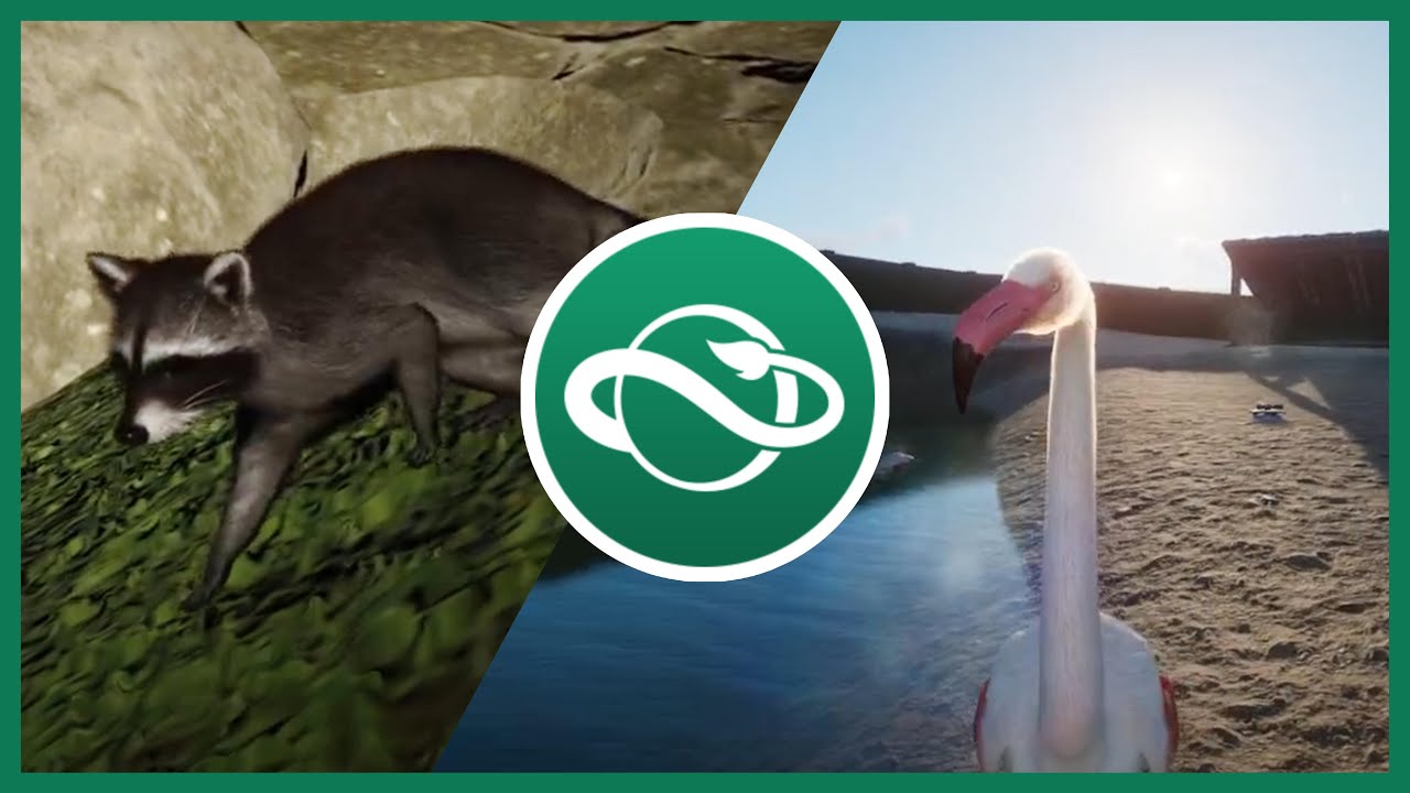 Building a New Zoo!