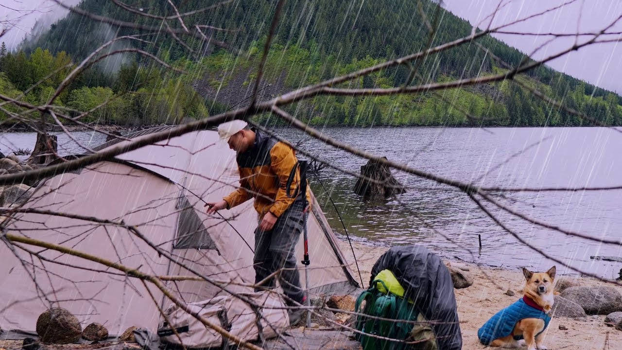 Heavy Rain Windstorm Camping with my Dog Corgi/Shepherd - Worst Top 3 Rain