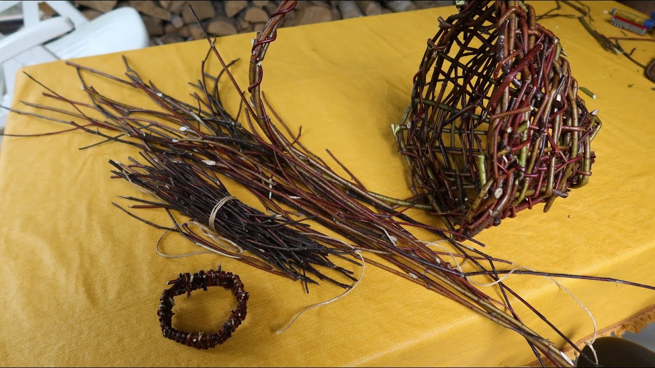 Le cornouiller, une plante à tresser