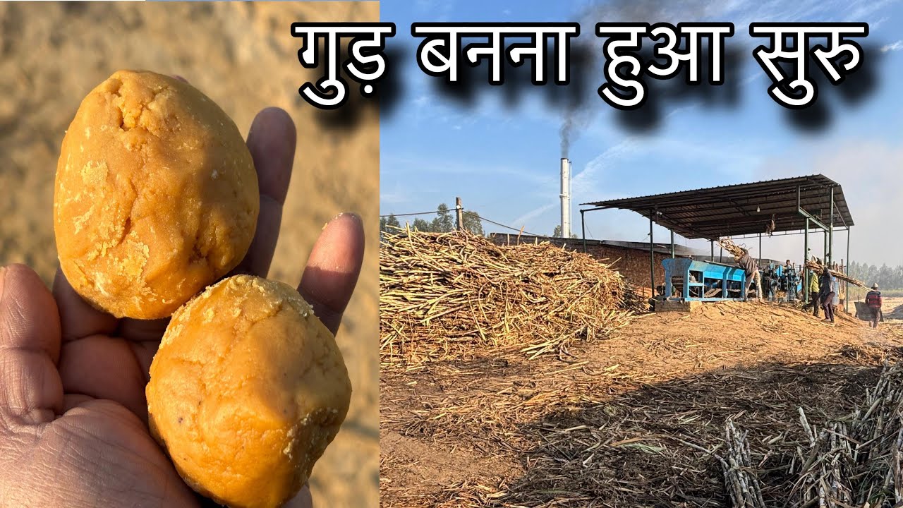 how make jaggery / gud / from sugarcane juice 🥤 (up bijnor)
