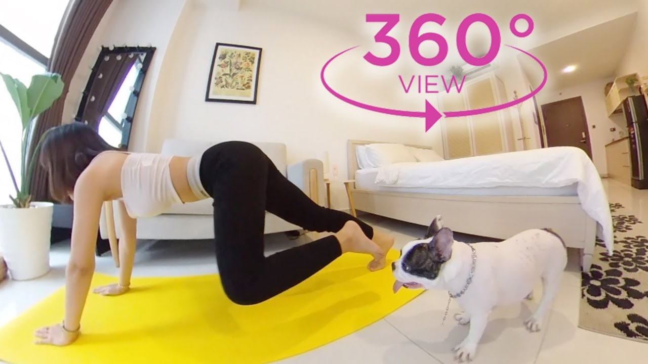 VR 360&deg; Oh my pet. What is he looking at? 👅  CAN LOOK, BUT CAN'T TOUCH | Pet And Bae