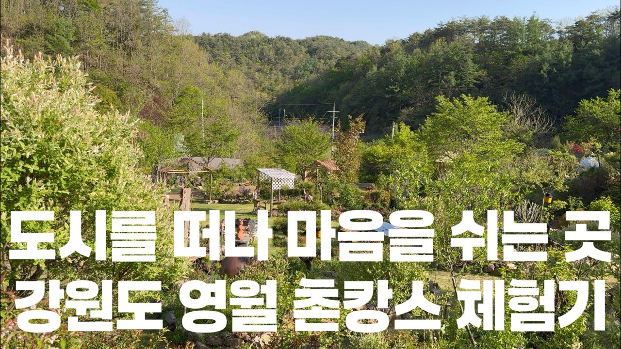 영월에서 보내는 애견동반 촌캉스 l 영월 브이로그 l  미소네맛집 l 수월산방 l 마차리폐광촌 l 일미닭강정 l 꽃피는산골 l 선돌 l 김삿갓계곡 l 모운동 마을