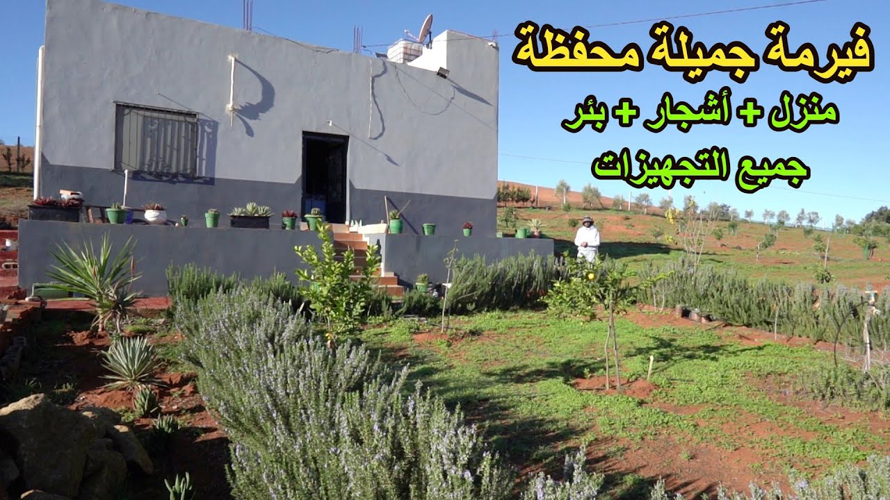 ✨الفيرمة ديالك واجدة بمنزل كبير وجميع الاشجار المثمرة قرب الغابة لاجمل حياة ✨تيفلت