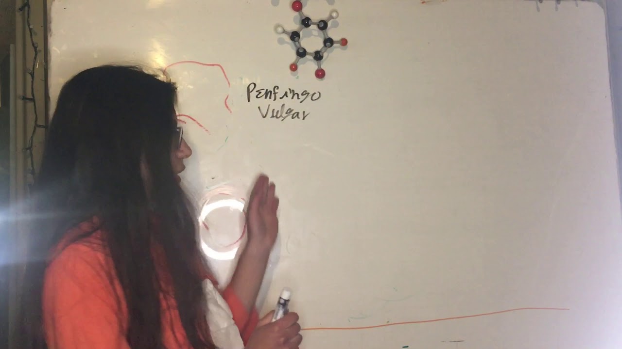 Medicamentos que desencadenan Penfigo Vulgar. Dermatología