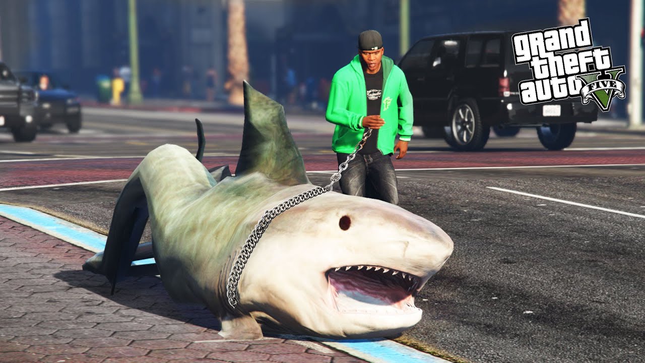UN REQUIN DE COMPAGNIE  2 SUR GTA V