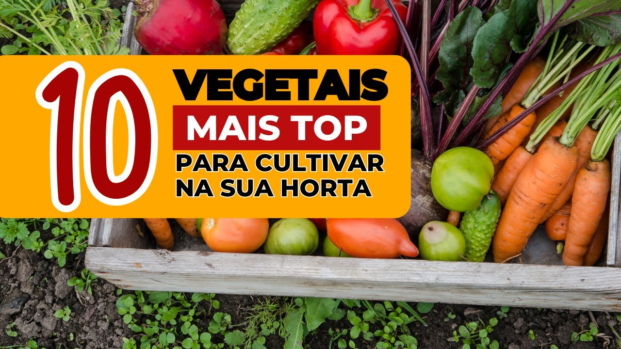 Horta em Casa: 10 vegetais perfeitos para Iniciantes cultivar em casa! #hortaemcasa #hortaorgânica